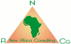 Logo de New Africa Consulting Group
